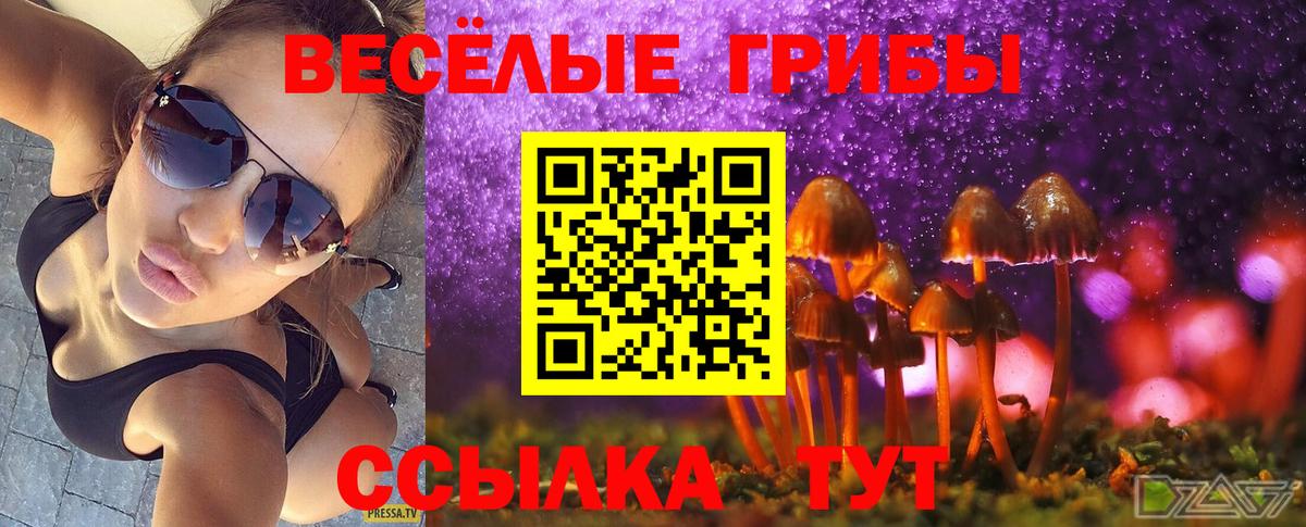 Псилоцибиновые грибы Psilocybine cubensis Орск