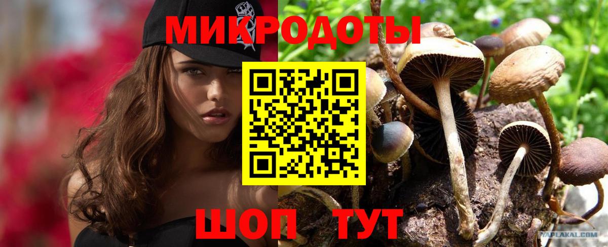 Псилоцибиновые грибы Psilocybe  Вход с VPN  цена наркотик  Орск 